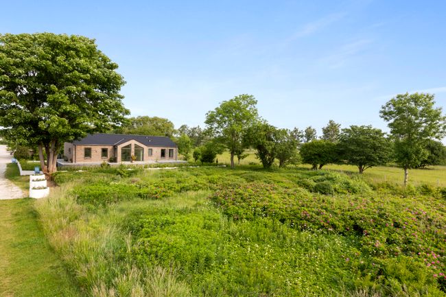 Rørsangervej 11, 2670 Greve