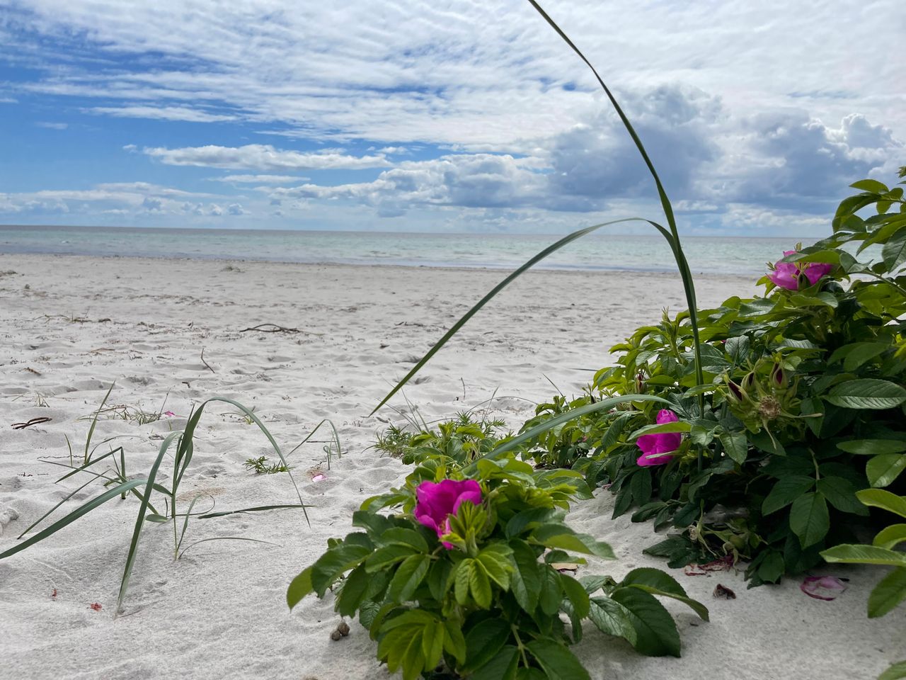 image 02